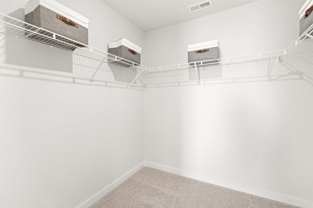 1670 Manuka Lane, Columbia, TN 38401