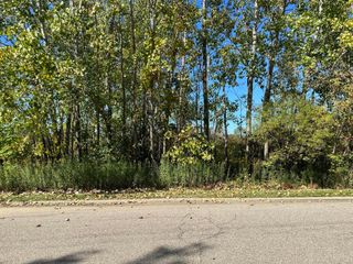 Unit #6 Longmeadow Village Drive 6, Niles, MI 49120