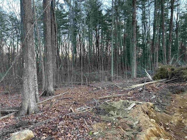 2-47 Old Amherst Road, Mont Vernon, NH 03057