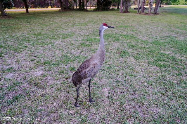 1265 Pine Island Road, Merritt Island, FL 32953