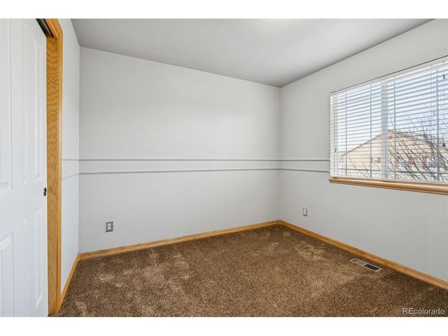 8733 Flaming Arrow Ave, Wellington, CO 80549