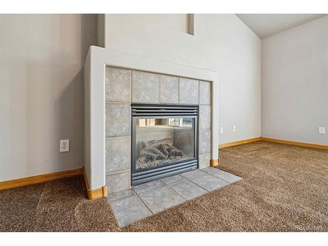 8733 Flaming Arrow Ave, Wellington, CO 80549