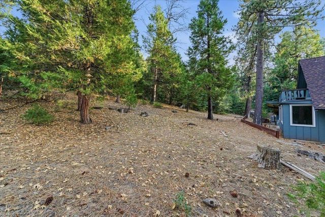 25290 Nestwa Trails, Idyllwild, CA 92549