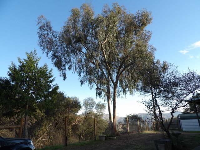 38967 Deerbrook Lane, Yokuts Valley, CA 93675