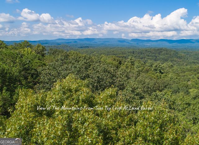 LOT 13 Shady Pine Trail, Ellijay, GA 30540