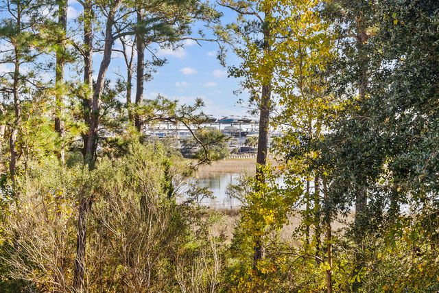 1131 Oak Bluff Avenue, Charleston, SC 29492