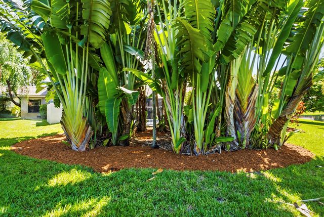 12020 NW 2nd Drive, Coral Springs, FL 33071