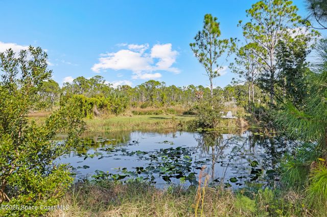 6885 Orchid Tree Drive, Grant, FL 32949