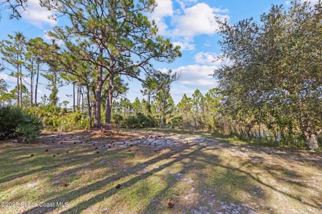 6885 Orchid Tree Drive, Grant, FL 32949