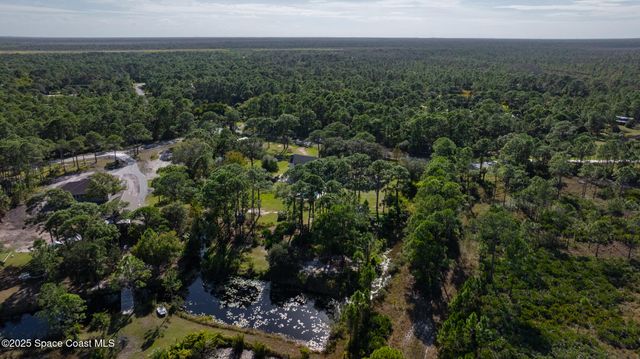 6885 Orchid Tree Drive, Grant, FL 32949