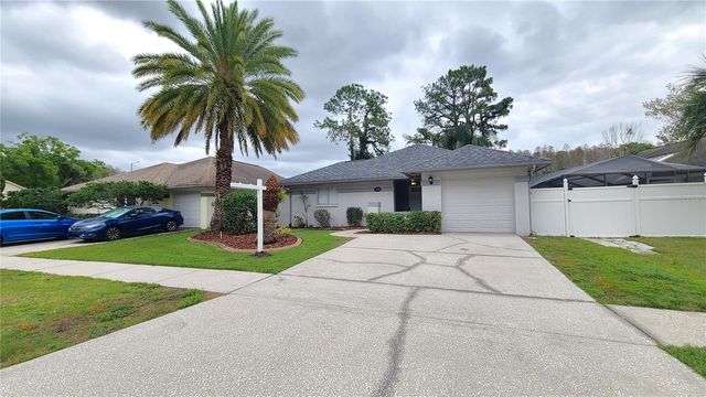 5938 BIRCHWOOD DRIVE, Tampa, FL 33625