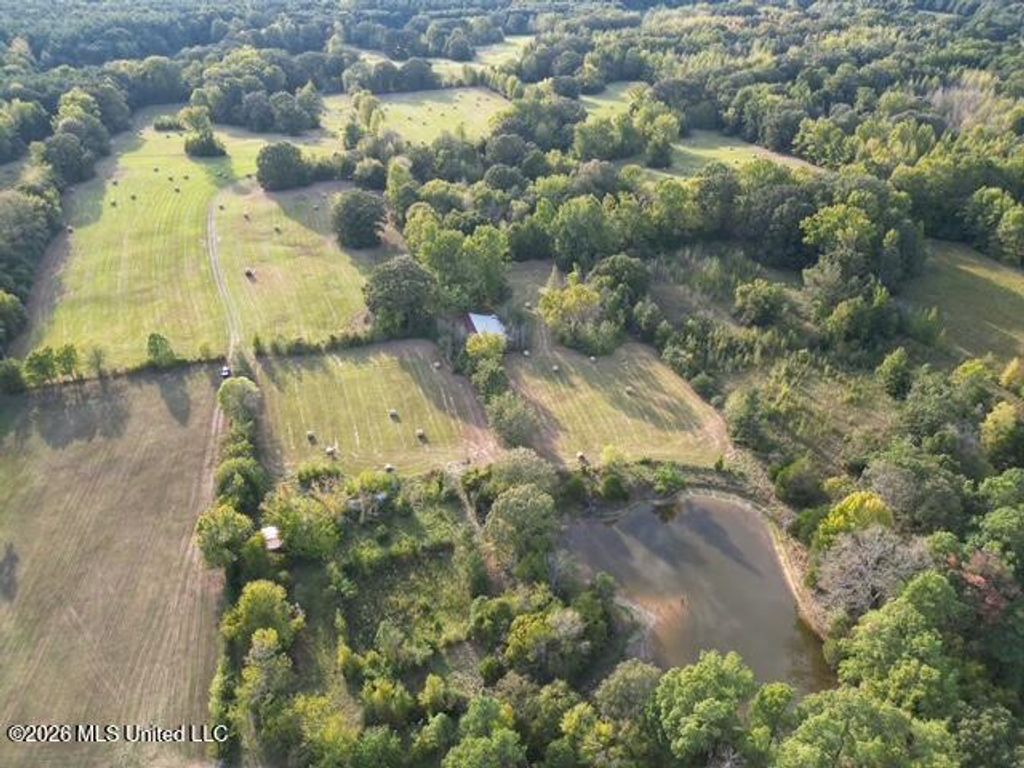 310, Como, MS 38619 — photo 4