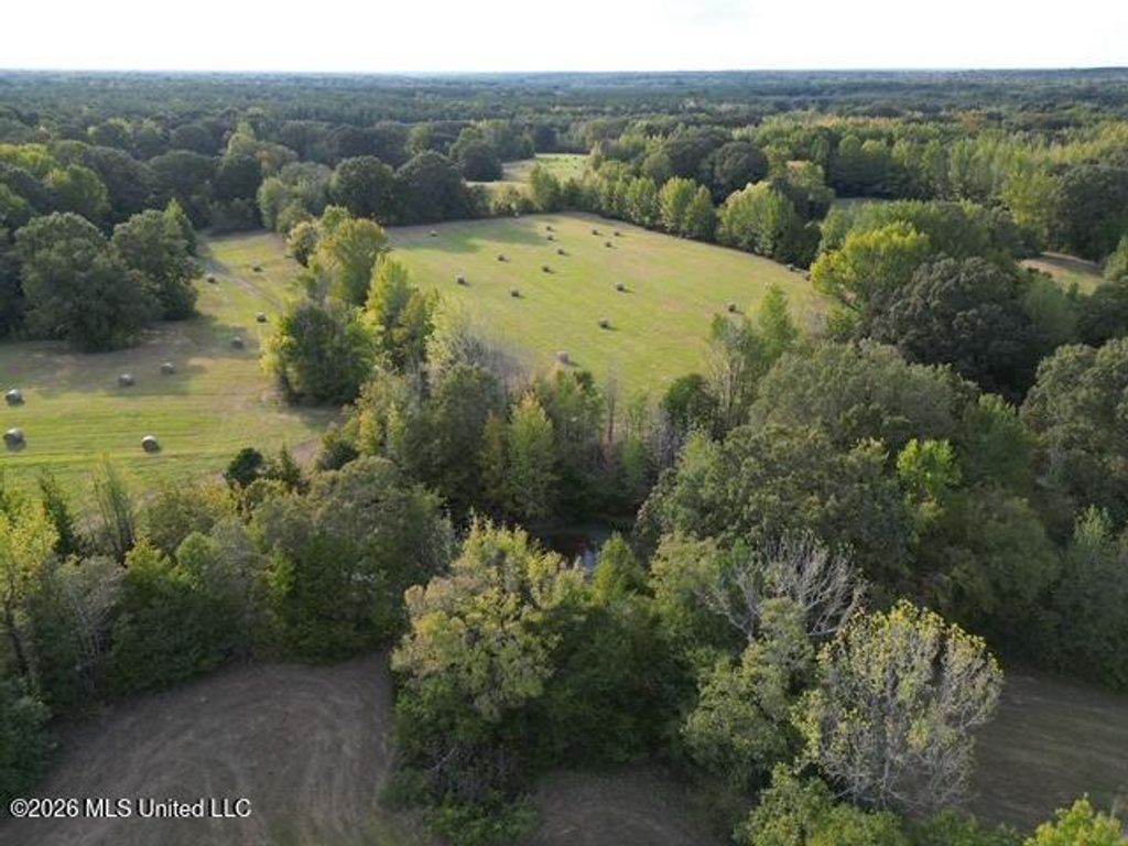 310, Como, MS 38619 — photo 5