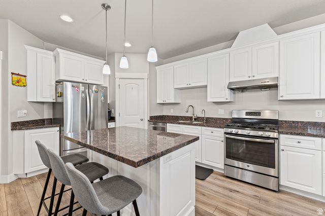 217 E 1163 S, Orem, UT 84058