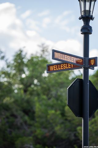 3006 WELLESLEY KY, San Antonio, TX 78231