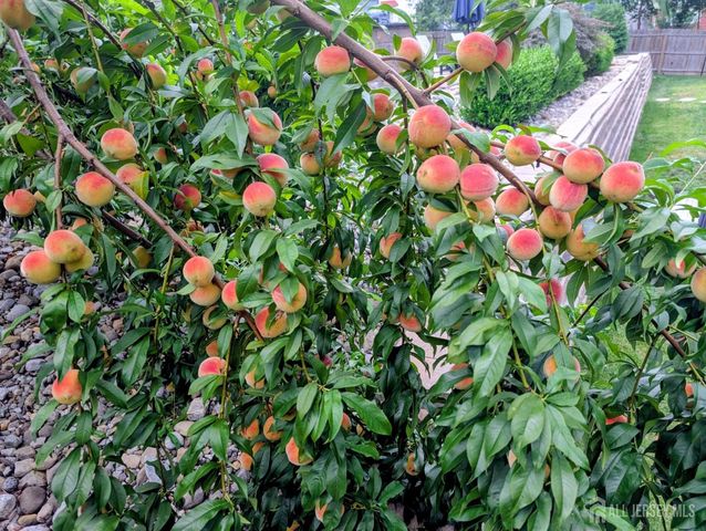 3 Birchwood Road, Jamesburg, NJ 08831