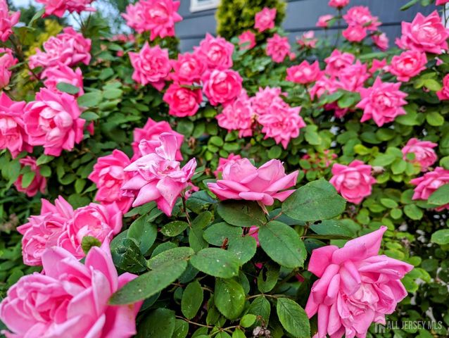 3 Birchwood Road, Jamesburg, NJ 08831