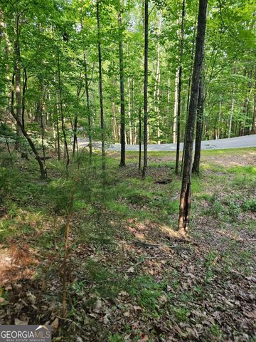 1111 Quail Cove Drive 1111, Jasper, GA 30143