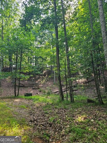 1111 Quail Cove Drive 1111, Jasper, GA 30143