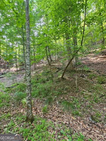 1111 Quail Cove Drive 1111, Jasper, GA 30143
