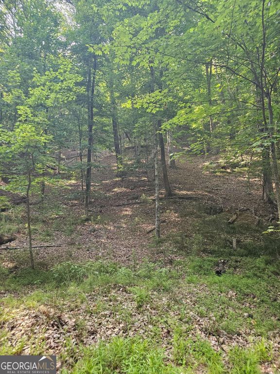 1111 Quail Cove Drive 1111, Jasper, GA 30143