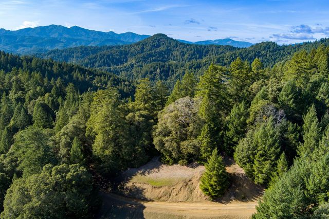 7300 Doody Ridge Road, Ettersburg, CA 95542