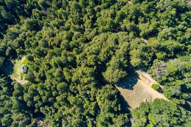 7300 Doody Ridge Road, Ettersburg, CA 95542