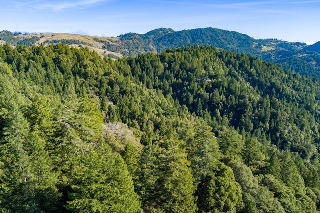 7300 Doody Ridge Road, Ettersburg, CA 95542