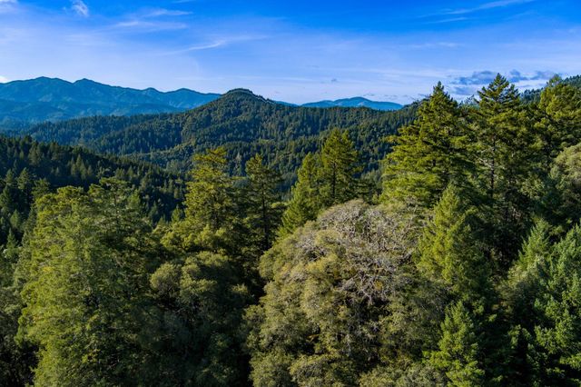 7300 Doody Ridge Road, Ettersburg, CA 95542