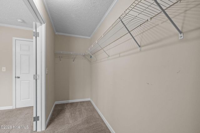 153 Country Club Lane, Newport, NC 28570