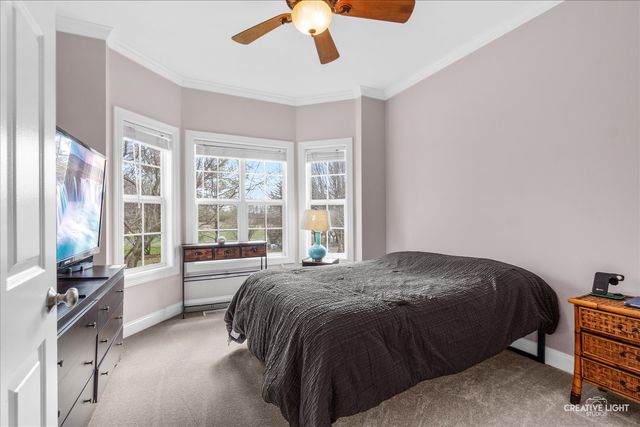 13006 Timber Wood Circle, Plainfield, IL 60585