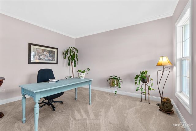 13006 Timber Wood Circle, Plainfield, IL 60585