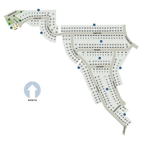 3032 Nash DR, New Braunfels, TX 78132