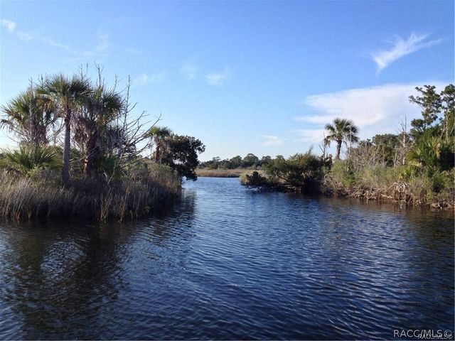 11946 W Bald Eagle Court, Crystal River, FL 34429