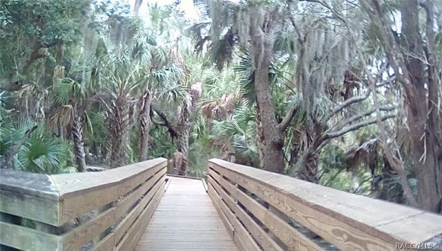 11946 W Bald Eagle Court, Crystal River, FL 34429