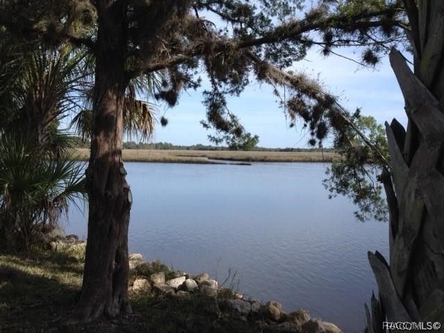 11946 W Bald Eagle Court, Crystal River, FL 34429