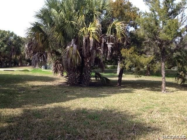 11946 W Bald Eagle Court, Crystal River, FL 34429