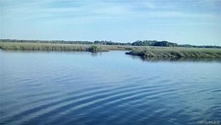 11946 W Bald Eagle Court, Crystal River, FL 34429