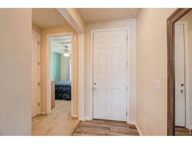 1617 Northcroft Dr, Windsor, CO 80550