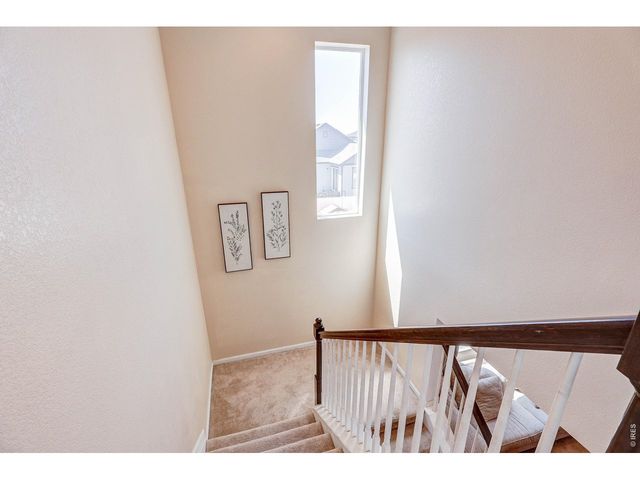 1617 Northcroft Dr, Windsor, CO 80550