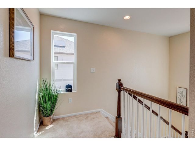 1617 Northcroft Dr, Windsor, CO 80550