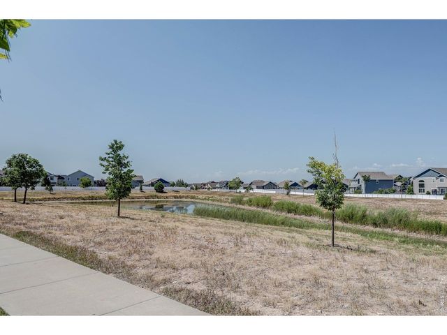 1617 Northcroft Dr, Windsor, CO 80550