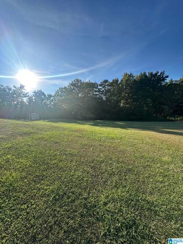 10121 MIZE ROAD, Remlap, AL 35133