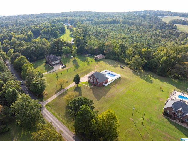 10121 MIZE ROAD, Remlap, AL 35133