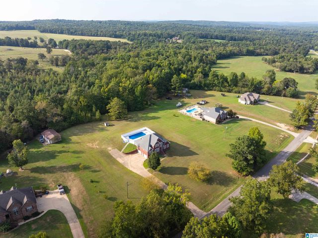 10121 MIZE ROAD, Remlap, AL 35133