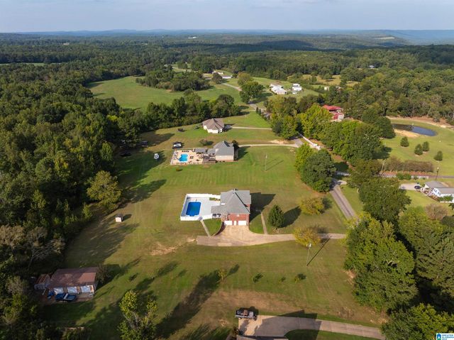 10121 MIZE ROAD, Remlap, AL 35133