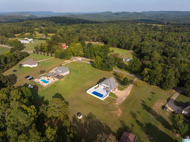 10121 MIZE ROAD, Remlap, AL 35133