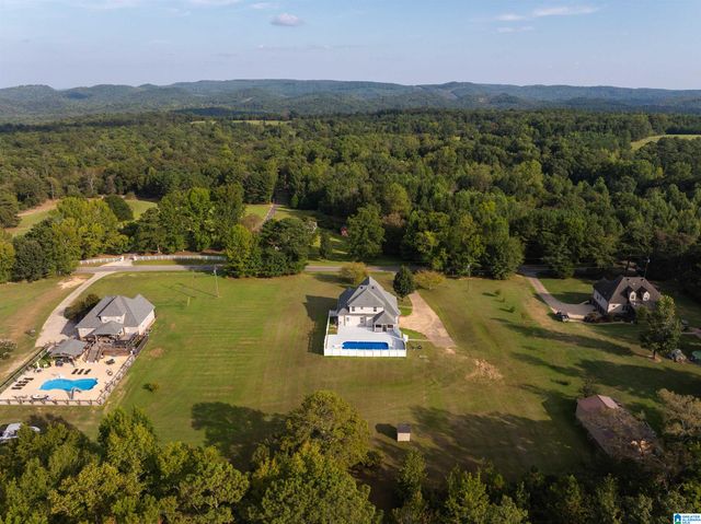 10121 MIZE ROAD, Remlap, AL 35133