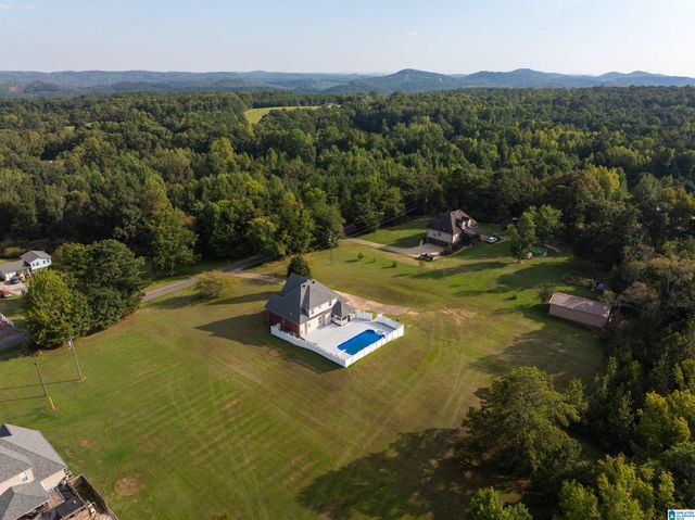 10121 MIZE ROAD, Remlap, AL 35133