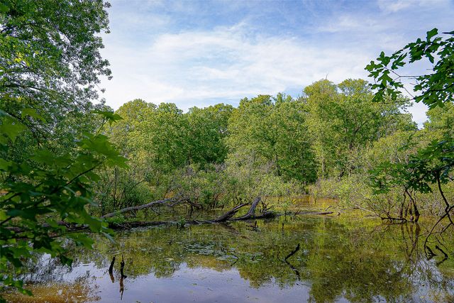 00 Off of Farm to Market Road 2064, Troup, TX 75789